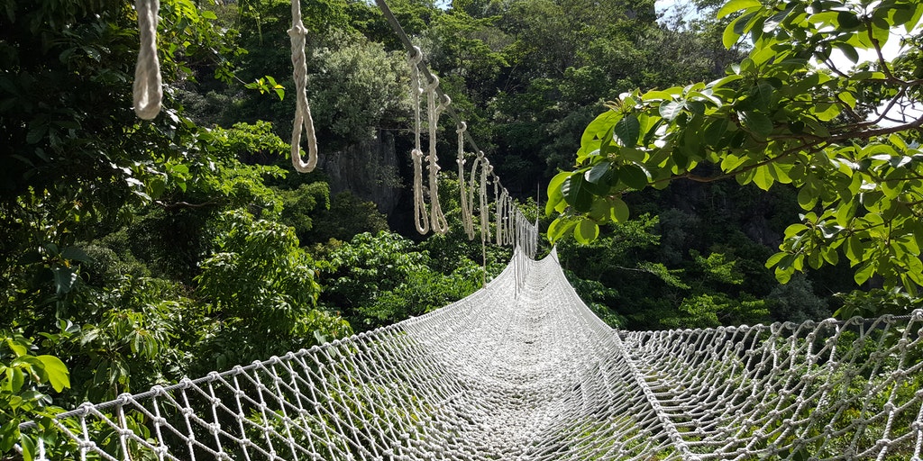 rope safety net